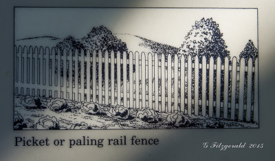 IMGP8720.jpg
