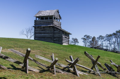 IMGP8725.jpg