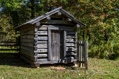 IMGP8709.jpg