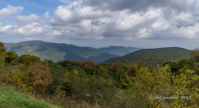 IMGP8973.jpg