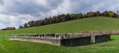 IMGP9167.jpg