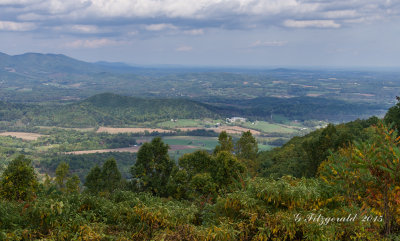 IMGP9172.jpg
