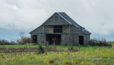 IMGP3712.jpg