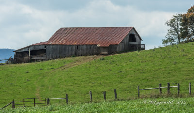 IMGP3725.jpg