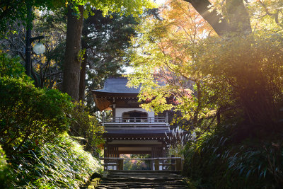 Kamakura_80E_8691.jpg