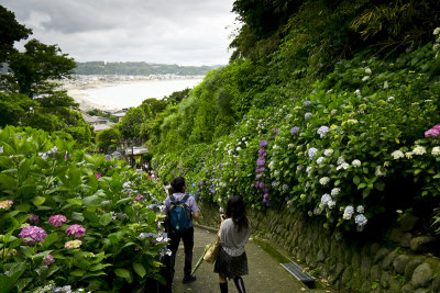 Kamakura_Gokurakuji_DSC02295.jpg