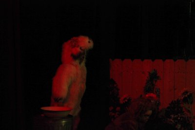 IMG_9865.jpg
