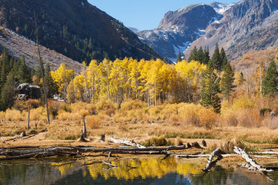 Autumn in Lundy Canyon