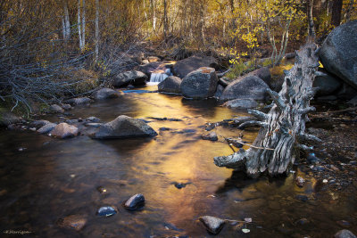 Molybdenite Creek-Autumn