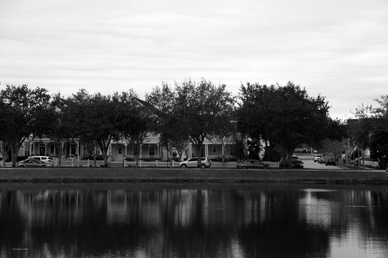 IMG_1292.jpg