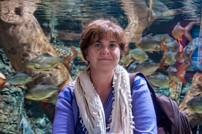 36 Dubai - Dubai Mall Underwater Zoo MRC@2014.jpg