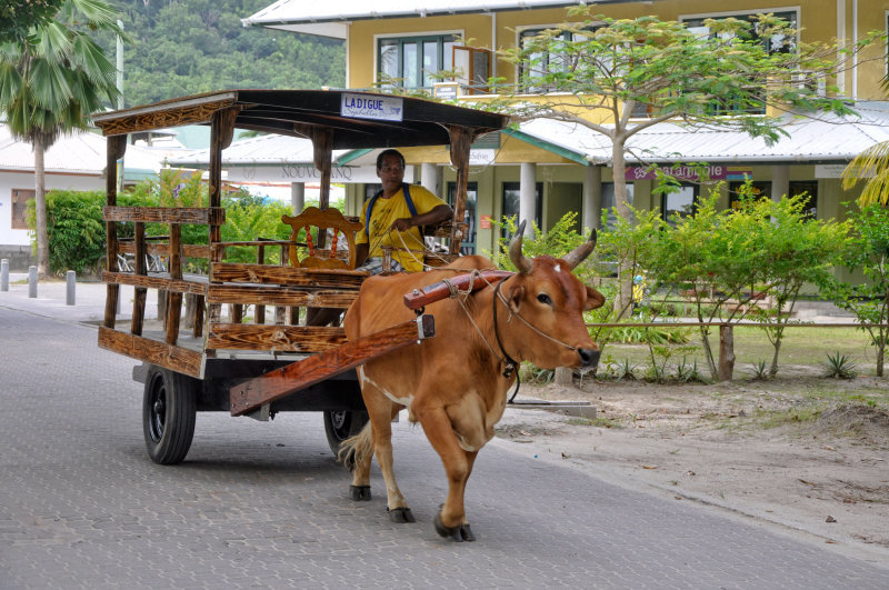 63 Seichelles - La Digue Local Taxi MRC@2014.jpg