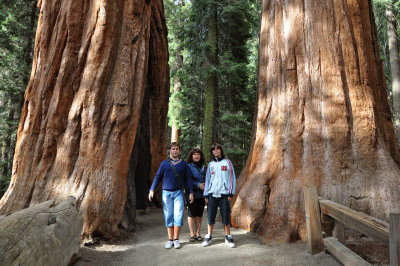 02 California Sequoia NP MRC@2009.jpg