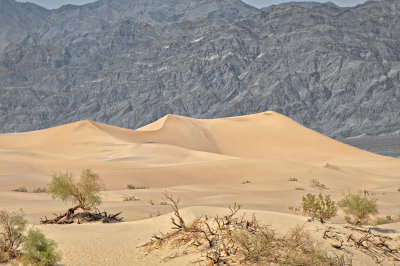 06 Nevada Death Valley Sand Dunes MRC@2009.jpg 