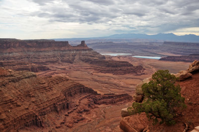 42 Utah  Dead Horse Point MRC@2009.jpg