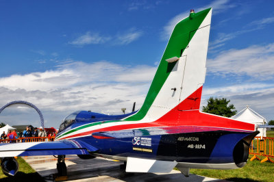 004 Frecce Tricolori 55 - MRC@2015.jpg