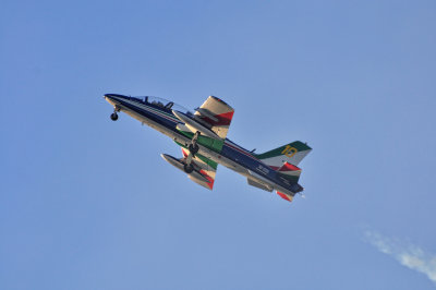 084 Frecce Tricolori 55 - MRC@2015.jpg