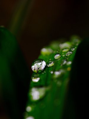 g9/90/1156590/3/159478568.IWNrDB6C.jpg