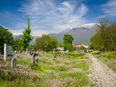 Cemetery in Peja