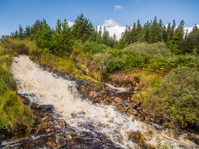 Waterfall, Folore River, Lackavrea Forest