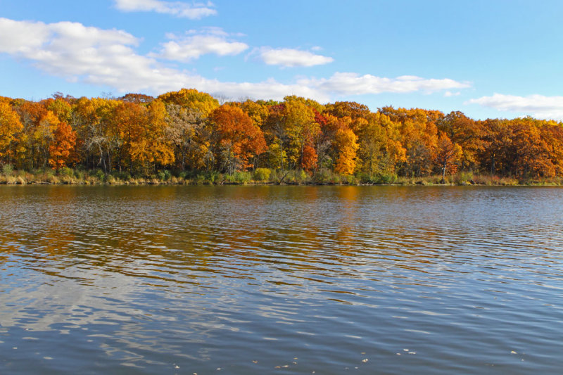 Autumn River