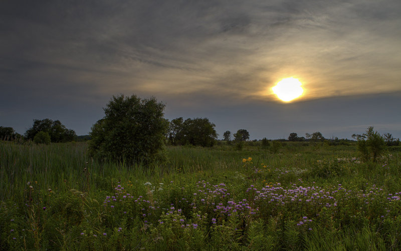 Prairie Sunset
