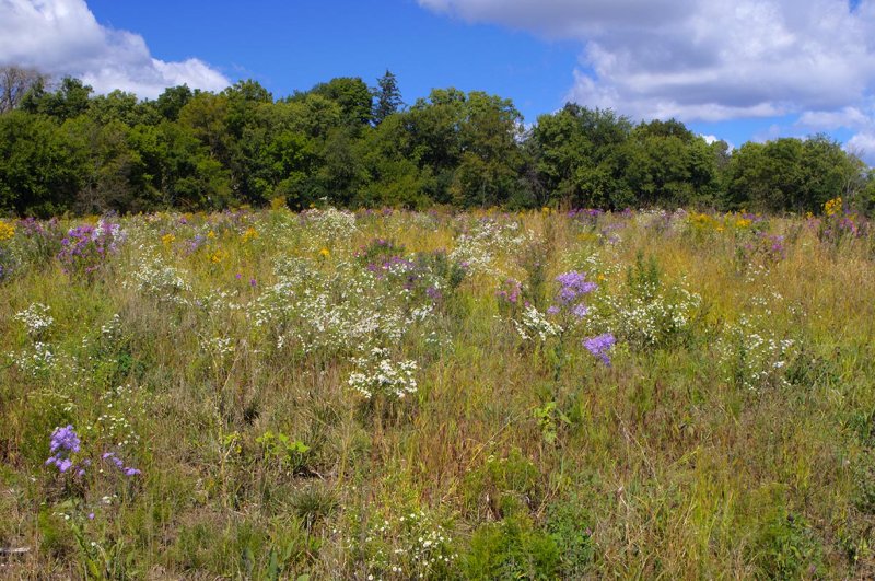 Prairie Crossing