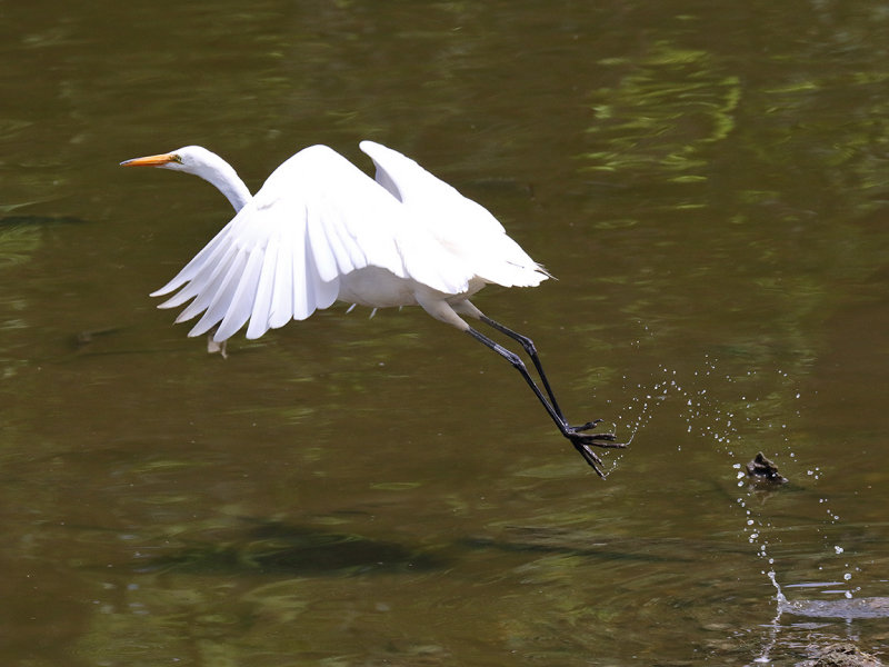 Sending a Spray