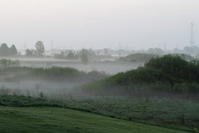 Ground Fog Day