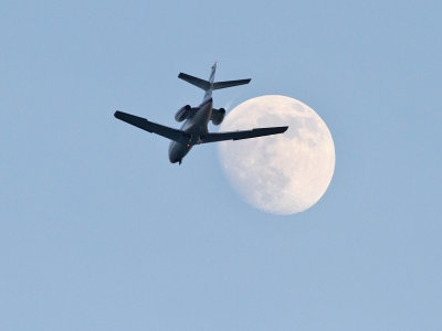 Cutting into the Moon