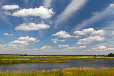 Blue Skies, Blue Waters