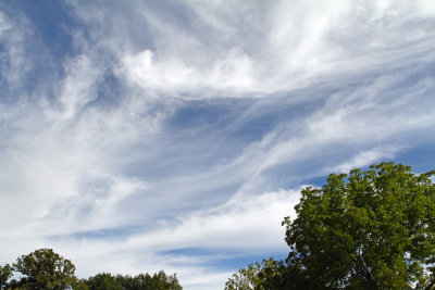 Cirrus Sky