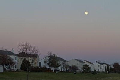 Suburban Moon