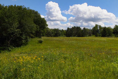 Summer in Illinois