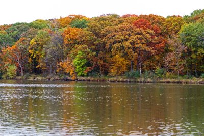 Autumn Along the Banks