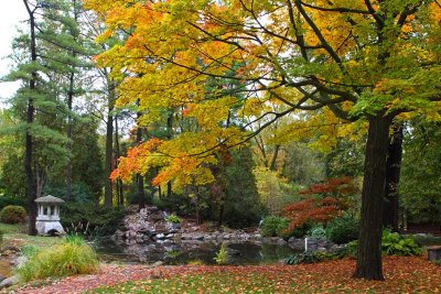 An Eastern Fall