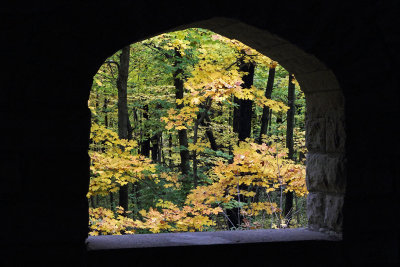 Window to Autumn