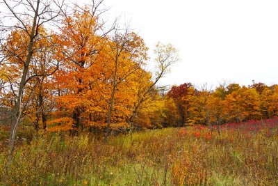 Hot Colors on a Cool Day