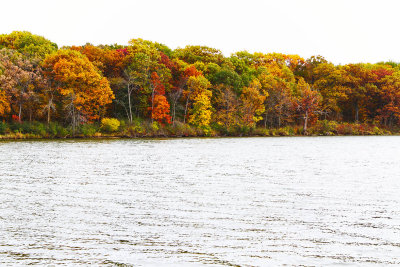 Fall in the Fox River Valley