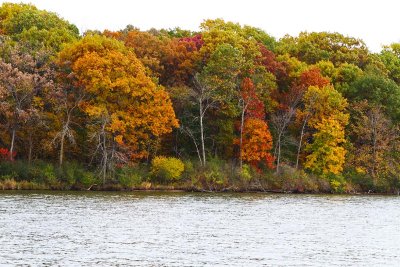 Autumn on the Banks