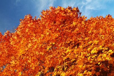 Orange Below Blue