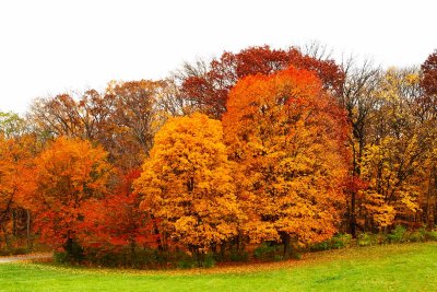 Sights of Autumn