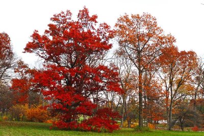 Sharing Autumn