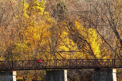 Riding Through Autumn