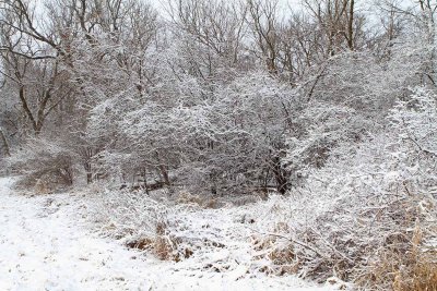 Snow on Sunday