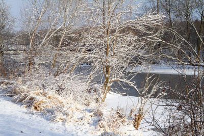 Winter on the Banks