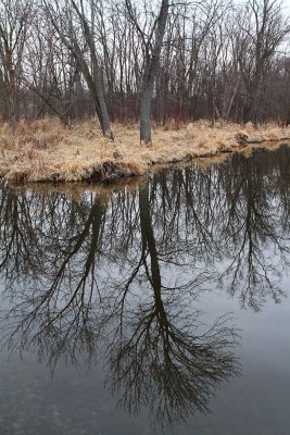 Mirror in the Water
