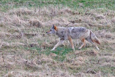 Sneaking Up