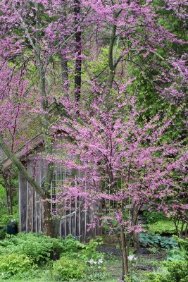 Garden in the Park