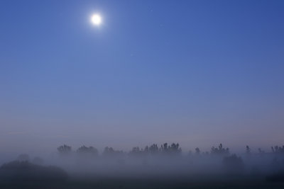 Twilight in the Fog